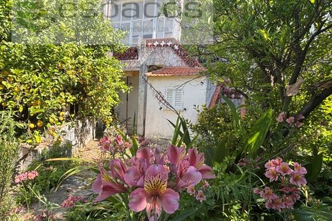 Villa i Rosmaninhal, Castelo Branco, Rosmaninhal - € 65.000 | Ref: 5524/FA_AC - foto 27