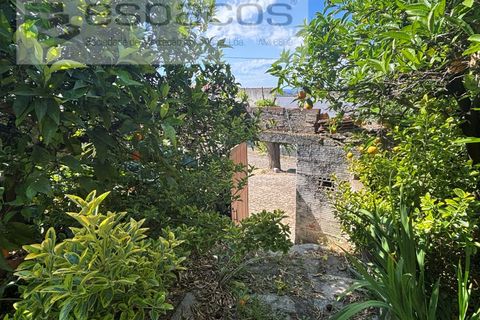 Villa i Rosmaninhal, Castelo Branco, Rosmaninhal - € 65.000 | Ref: 5524/FA_AC - foto 28