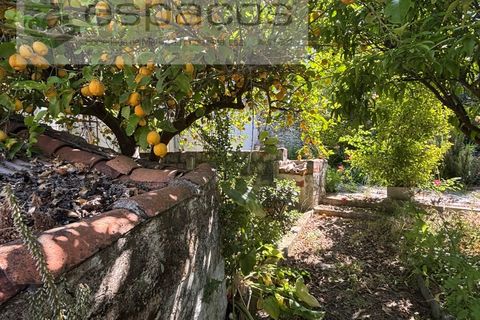 Villa i Rosmaninhal, Castelo Branco, Rosmaninhal - € 65.000 | Ref: 5524/FA_AC - foto 29