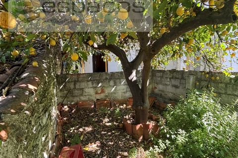 Villa i Rosmaninhal, Castelo Branco, Rosmaninhal - € 65.000 | Ref: 5524/FA_AC - foto 30