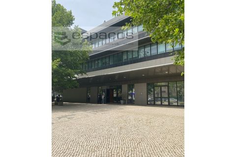 Erhvervsejendom i Moscavide, Lisbon, Moscavide - € 300.000 | Ref: 5614/JR - foto 5