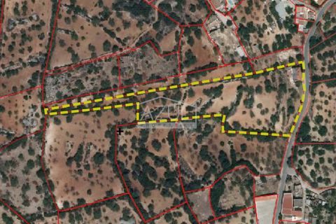 Villa i Loule, Faro, Loule - € 550.000 | Ref: 1009-2410 - foto 31