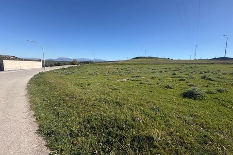 Helårsgrund i Villatorres, Jaen, Villatorres - € 49.900 | Ref: EXP14529/8930 - foto 6