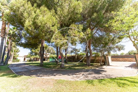 Villa a Campos, Mallorca, Campos - € 1.580.000 | Ref: VPM2605024 - foto 36