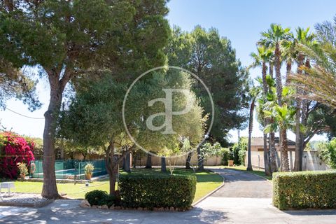 Villa a Campos, Mallorca, Campos - € 1.580.000 | Ref: VPM2605024 - foto 42