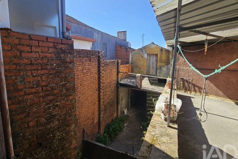 Byhus i Mealhada, Aveiro, Mealhada - € 120.000 | Ref: 777966 - foto 15