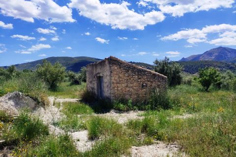 Terra a Benimassot, Alicante, Benimassot - € 43.000 | Ref: 8191 - foto 2