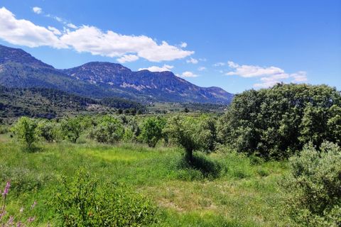 Terra a Benimassot, Alicante, Benimassot - € 43.000 | Ref: 8191 - foto 5