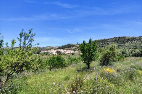 Terra a Benimassot, Alicante, Benimassot - € 43.000 | Ref: 8191 - foto 8