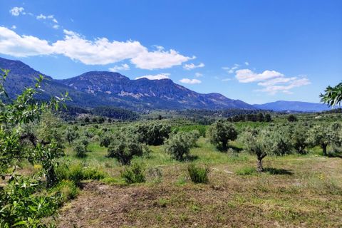 Terra a Benimassot, Alicante, Benimassot - € 43.000 | Ref: 8191 - foto 9