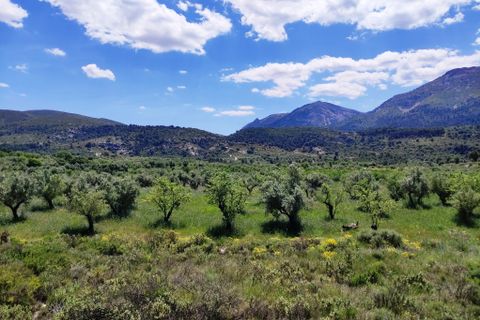 Terra a Benimassot, Alicante, Benimassot - € 43.000 | Ref: 8191 - foto 10