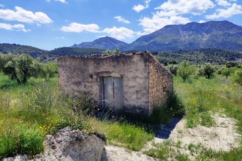 Terra a Benimassot, Alicante, Benimassot - € 43.000 | Ref: 8191 - foto 12