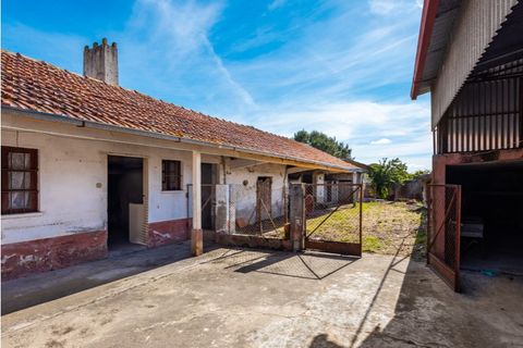 Villa a Cantanhede, Coimbra, Cantanhede - € 90.000 | Ref: CNTTZ 6324 - foto 7