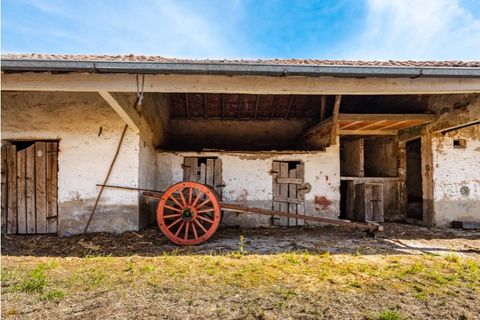 Villa a Cantanhede, Coimbra, Cantanhede - € 90.000 | Ref: CNTTZ 6324 - foto 8
