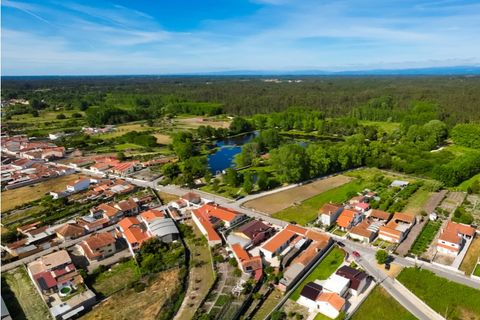 Villa a Cantanhede, Coimbra, Cantanhede - € 90.000 | Ref: CNTTZ 6324 - foto 13