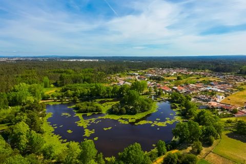 Villa a Cantanhede, Coimbra, Cantanhede - € 90.000 | Ref: CNTTZ 6324 - foto 14