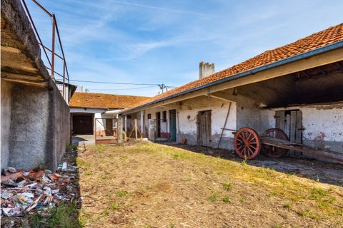 Villa a Cantanhede, Coimbra, Cantanhede - € 90.000 | Ref: CNTTZ 6324 - foto 15