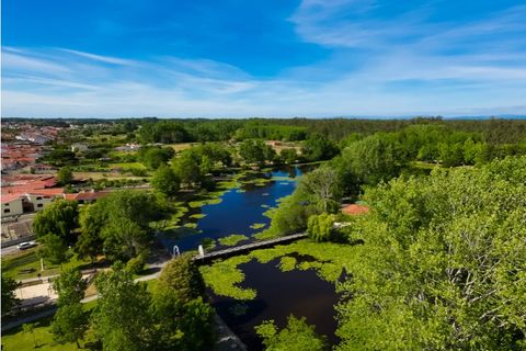 Villa a Cantanhede, Coimbra, Cantanhede - € 90.000 | Ref: CNTTZ 6324 - foto 21