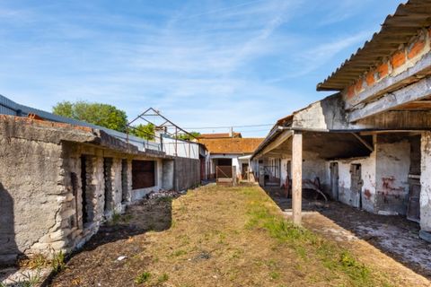 Villa a Cantanhede, Coimbra, Cantanhede - € 90.000 | Ref: CNTTZ 6324 - foto 22