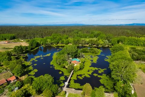 Villa a Cantanhede, Coimbra, Cantanhede - € 90.000 | Ref: CNTTZ 6324 - foto 23