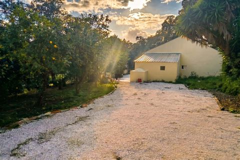 Villa a Monchique, Faro, Monchique - € 365.000 | Ref: SV2581 - foto 7