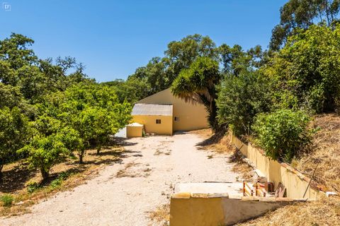 Villa i Marmelete, Faro, Marmelete - € 365 000 | Ref: SV2581 - foto 33