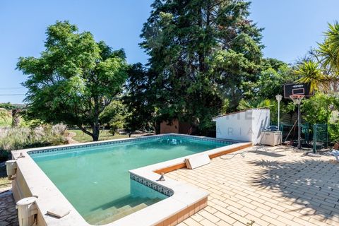 Villa i Silves, Faro, Silves - € 795.000 | Ref: City-26-42C - foto 45
