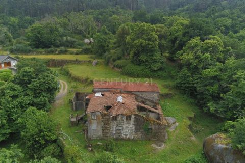 Farm hus i Barcelos, Braga, Barcelos - € 249.000 | Ref: C0256-03507 - foto 3