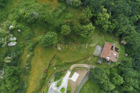 Farm hus i Barcelos, Braga, Barcelos - € 249.000 | Ref: C0256-03507 - foto 7