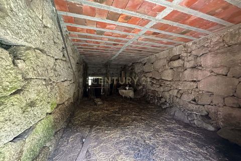 Farm hus i Barcelos, Braga, Barcelos - € 249.000 | Ref: C0256-03507 - foto 8