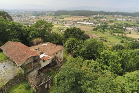 Farm hus i Barcelos, Braga, Barcelos - € 249.000 | Ref: C0256-03507 - foto 11