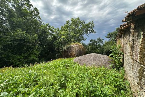 Farm hus i Barcelos, Braga, Barcelos - € 249.000 | Ref: C0256-03507 - foto 12