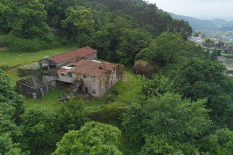 Farm hus i Barcelos, Braga, Barcelos - € 249.000 | Ref: C0256-03507 - foto 13