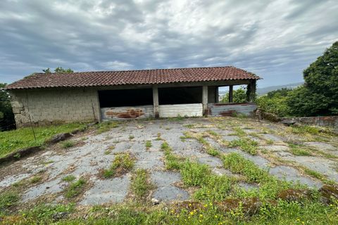 Farm hus i Barcelos, Braga, Barcelos - € 249.000 | Ref: C0256-03507 - foto 14