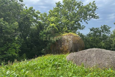 Farm hus i Barcelos, Braga, Barcelos - € 249.000 | Ref: C0256-03507 - foto 16