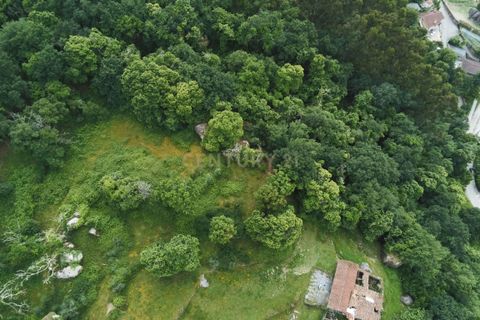 Farm hus i Barcelos, Braga, Barcelos - € 249.000 | Ref: C0256-03507 - foto 22