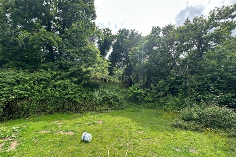 Farm hus i Barcelos, Braga, Barcelos - € 249.000 | Ref: C0256-03507 - foto 28