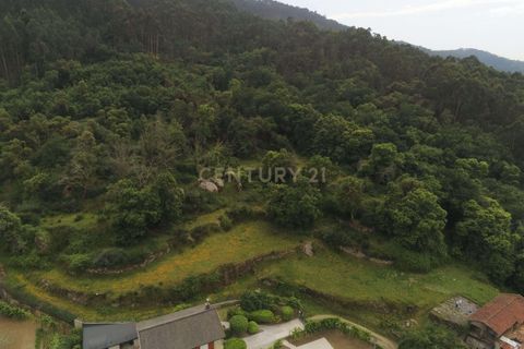 Farm hus i Barcelos, Braga, Barcelos - € 249.000 | Ref: C0256-03507 - foto 31