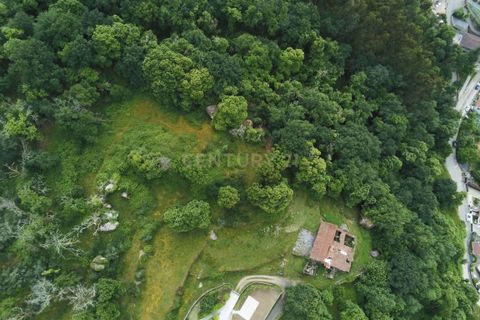 Farm hus i Barcelos, Braga, Barcelos - € 249.000 | Ref: C0256-03507 - foto 34