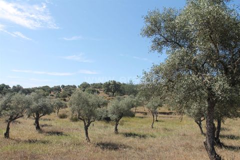 Villa a Idanha-a-Nova, Castelo Branco, Idanha-a-Nova - € 17.500 | Ref: 102230232 - foto 17