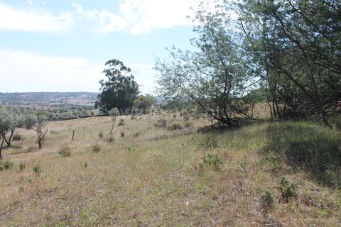 Villa a Idanha-a-Nova, Castelo Branco, Idanha-a-Nova - € 17.500 | Ref: 102230232 - foto 18