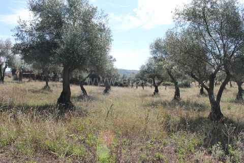 Villa a Idanha-a-Nova, Castelo Branco, Idanha-a-Nova - € 17.500 | Ref: 102230232 - foto 19