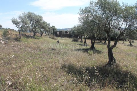 Villa a Idanha-a-Nova, Castelo Branco, Idanha-a-Nova - € 17.500 | Ref: 102230232 - foto 20