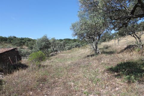 Villa a Idanha-a-Nova, Castelo Branco, Idanha-a-Nova - € 17.500 | Ref: 102230232 - foto 21