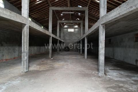 Grond in Proenca-a-Nova, Castelo Branco, Proenca-a-Nova - € 120.000 | Ref: 102260093 - foto 3