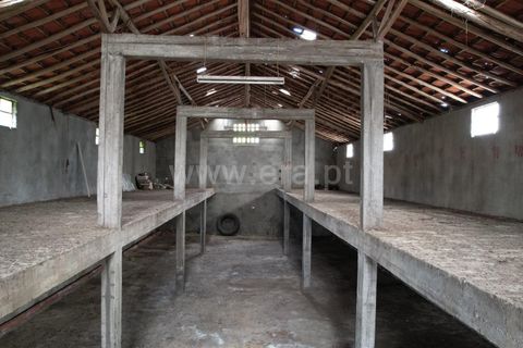 Grond in Proenca-a-Nova, Castelo Branco, Proenca-a-Nova - € 120.000 | Ref: 102260093 - foto 4