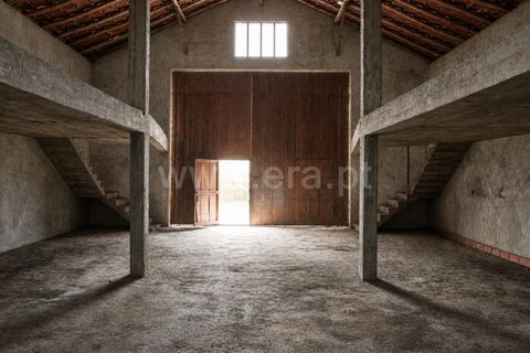 Grond in Proenca-a-Nova, Castelo Branco, Proenca-a-Nova - € 120.000 | Ref: 102260093 - foto 5