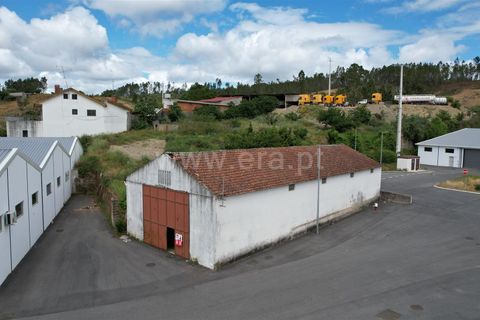 Grond in Proenca-a-Nova, Castelo Branco, Proenca-a-Nova - € 120.000 | Ref: 102260093 - foto 6