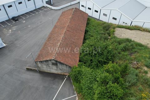 Grond in Proenca-a-Nova, Castelo Branco, Proenca-a-Nova - € 120.000 | Ref: 102260093 - foto 7