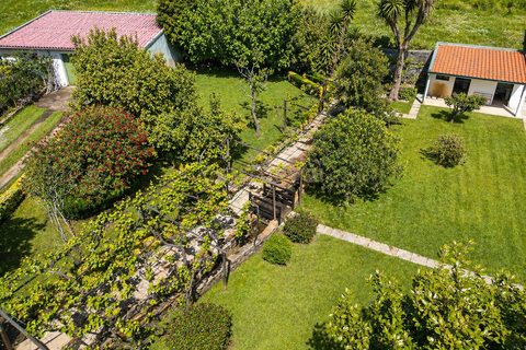 Villa i Paredes, Porto, Paredes - € 460.000 | Ref: C0412-00985 - foto 24